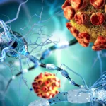 Immune Attack on Smell Pathways Signals Early Alzheimer’s