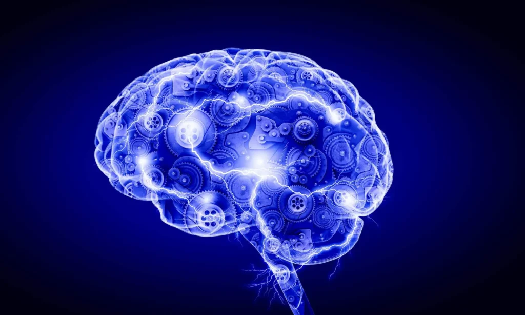 Inverse Graphics: How Your Brain Turns 2D Into 3D 2 Discover how the brain transforms flat images into rich 3D experiences through a process called inverse graphics—revealing the powerful computations behind human vision. Credit: StackZone Neuro