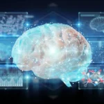 How Your Brain Turns 2D Into 3D