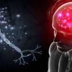 Neuroscience Psychology