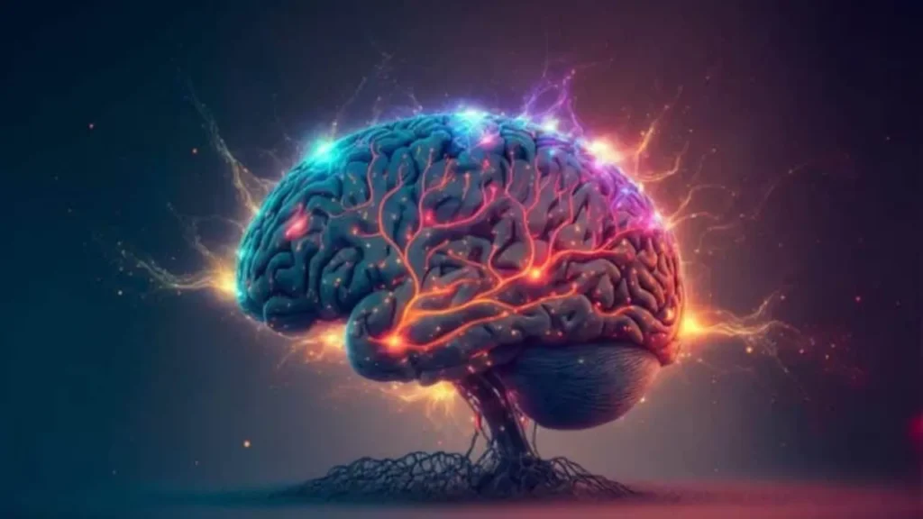 Brain Waves Hand Off Visual Signals Across Hemispheres