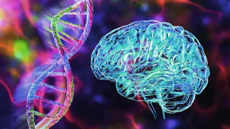 Enzyme Repairs DNA to Prevent Brain Disorders