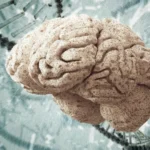 Most Mental Illnesses Arise Without Family History