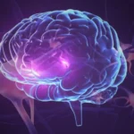 Brain Stimulation Reverses Synaptic Damage in Alzheimer’s