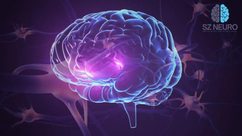 Brain Stimulation Reverses Synaptic Damage in Alzheimer’s