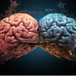 Brain Separates Touch We Choose vs. Touch We Receive