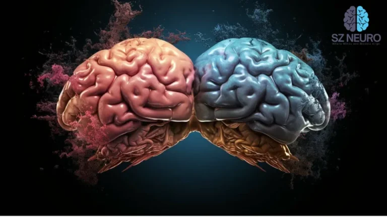 Brain Separates Touch We Choose vs. Touch We Receive
