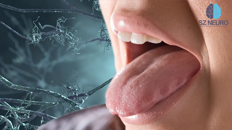 Control Of Tongue Movements By The Purkinje Cells Of The Cerebellum 2 The results suggest that Purkinje cells transmit signals to downstream neural structures to halt tongue movement as it nears its intended target.