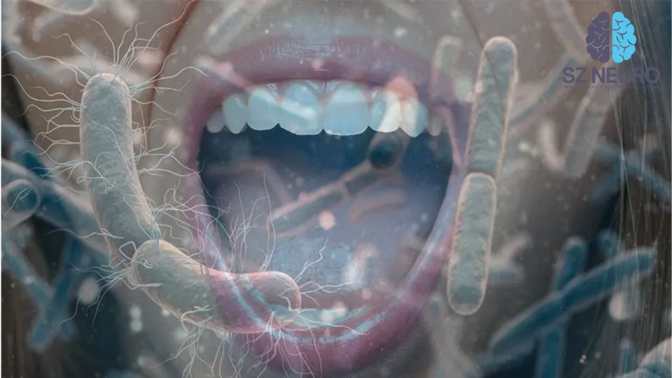 Control Of Tongue Movements By The Purkinje Cells Of The Cerebellum 1 Purkinje Cells Of The Cerebellum