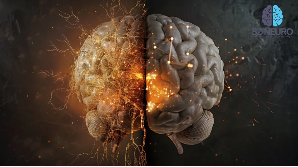 Tiny Brain Region Orchestrates