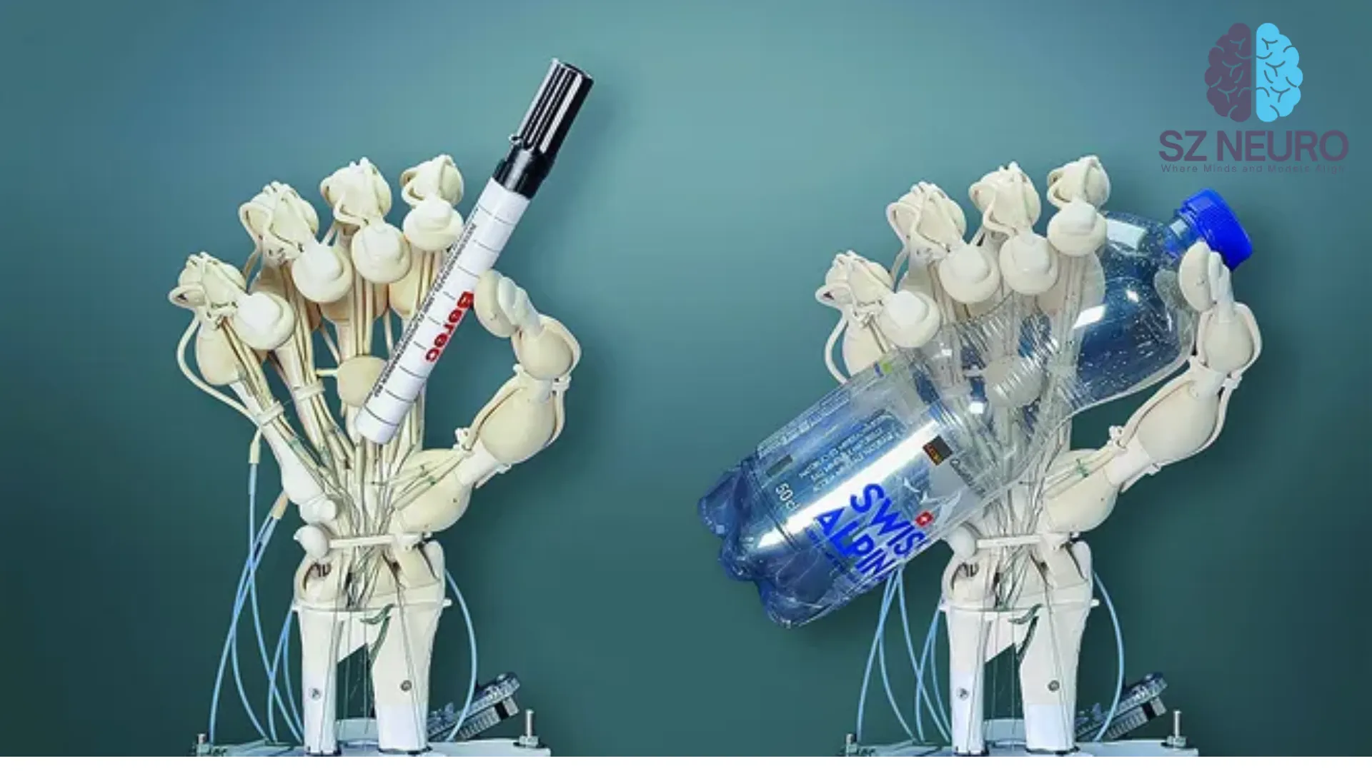 Soft Robots Learn to Grasp with Human-Like Flexibility