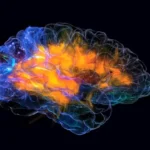 Brain Rewiring Patterns May Predict Alzheimer’s Years in Advance