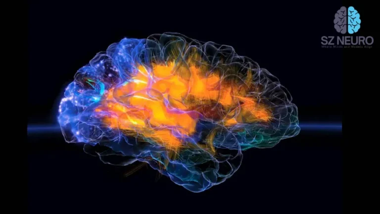 Brain Rewiring Patterns May Predict Alzheimer’s Years in Advance