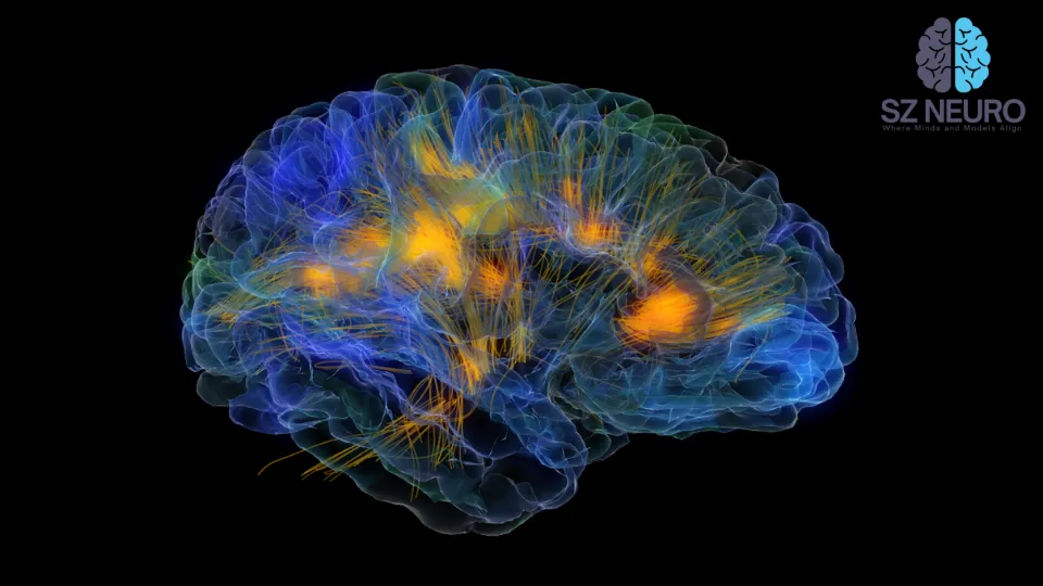 Neural flexibility was significantly higher in the Alzheimer’s group than in the cognitively normal group. Credit: StackZone Neuro
