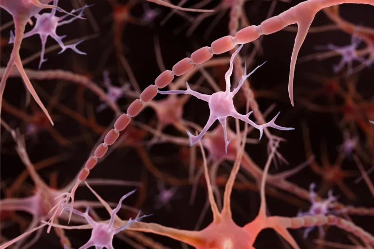 Microglia In The Pathogenesis And Treatment Of Depression