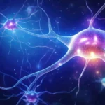 Decoding Brain Signals