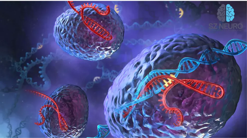 Shared Genetics Found in Bipolar Disorder and Epilepsy 2 One particularly fscinating finding is the involvement of the SP4 gene, which demonstrated a strong link to both BD-I and epilepsy. Credit: StackZone Neuro