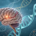 Shared Genetics Found in Bipolar Disorder and Epilepsy