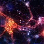 Neural Connectivity: A Universal Network Phenomenon