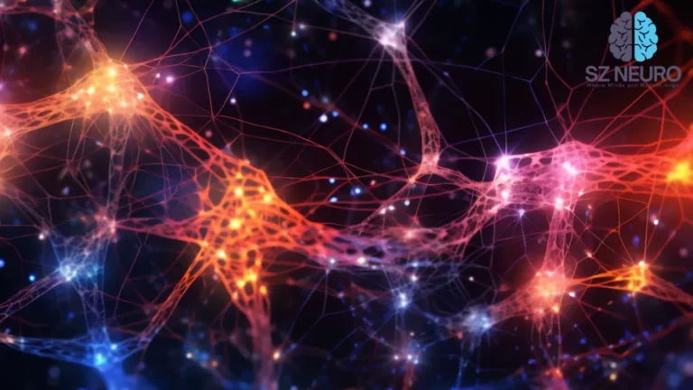 Neural Connectivity: A Universal Network Phenomenon
