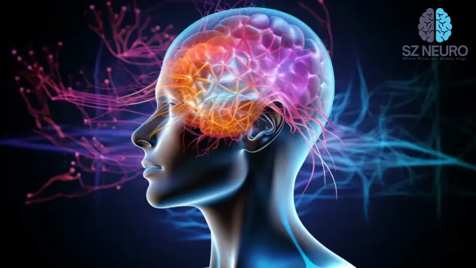 Afterward, neuronal activity gradually declines until it reaches a state of complete electrical silence, reflected as a flat line on the electroencephalogram. Credit: StackZone Neuro